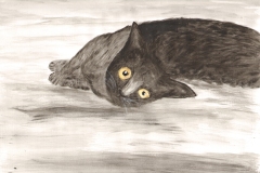Cat-curious