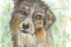 Dog-loving-you