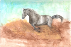 Horse-running-free