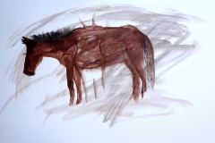 I-am-horse