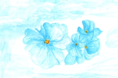 Blue-flowers