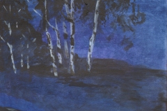 Dark-forest-night