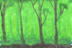 Forest-green