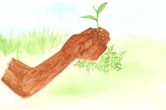Tea-leaf-single-leaf