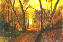 Yellow-and-brown-forest